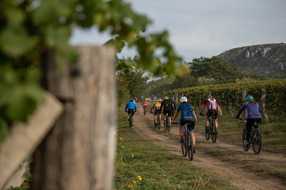 Prima CUP - Skoda Auto MIkulov - trasa zavodu.jpg